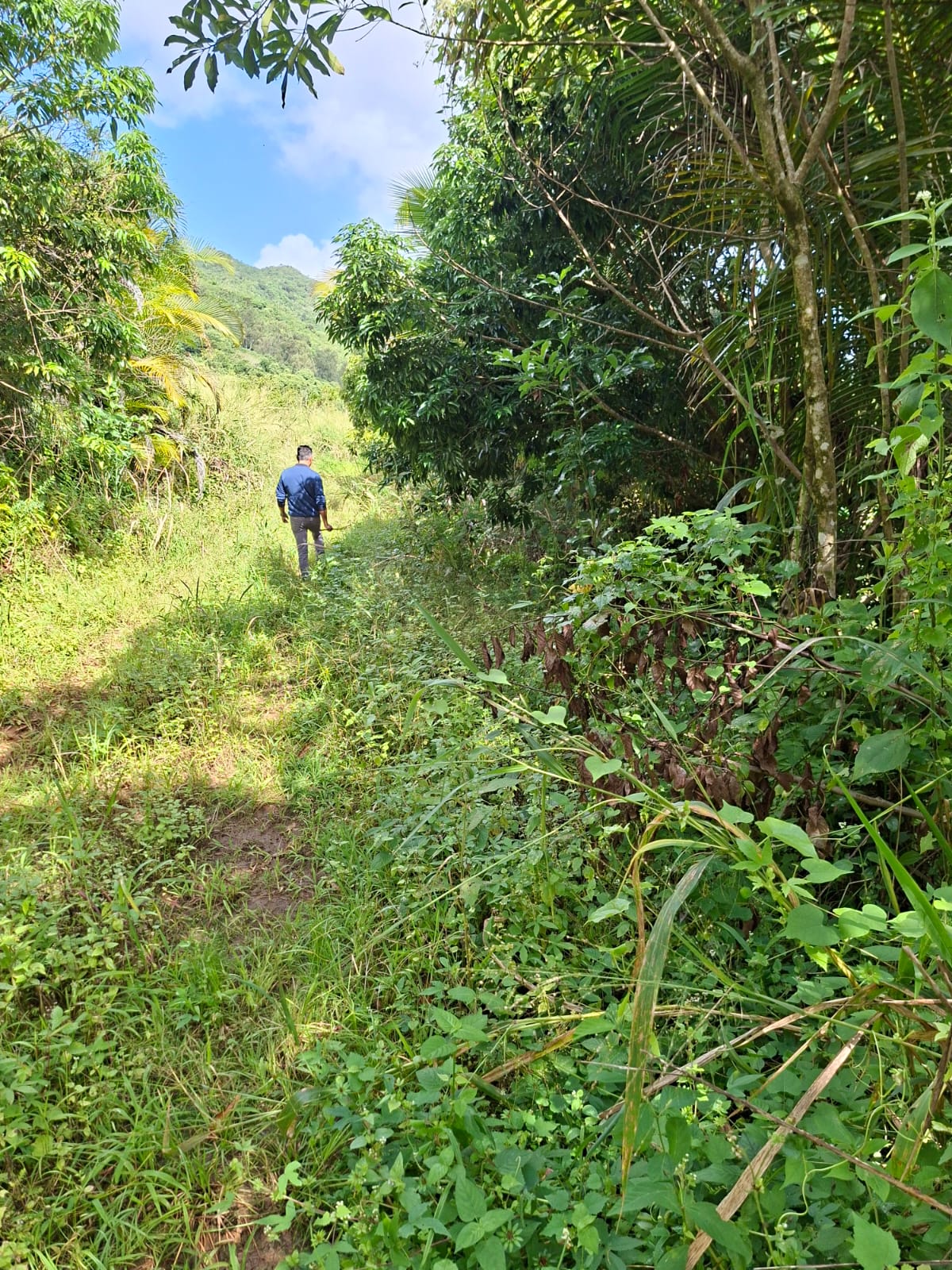 Terrain à Vendre à Les Mariannes, Île Maurice – Vue mer et montagnes