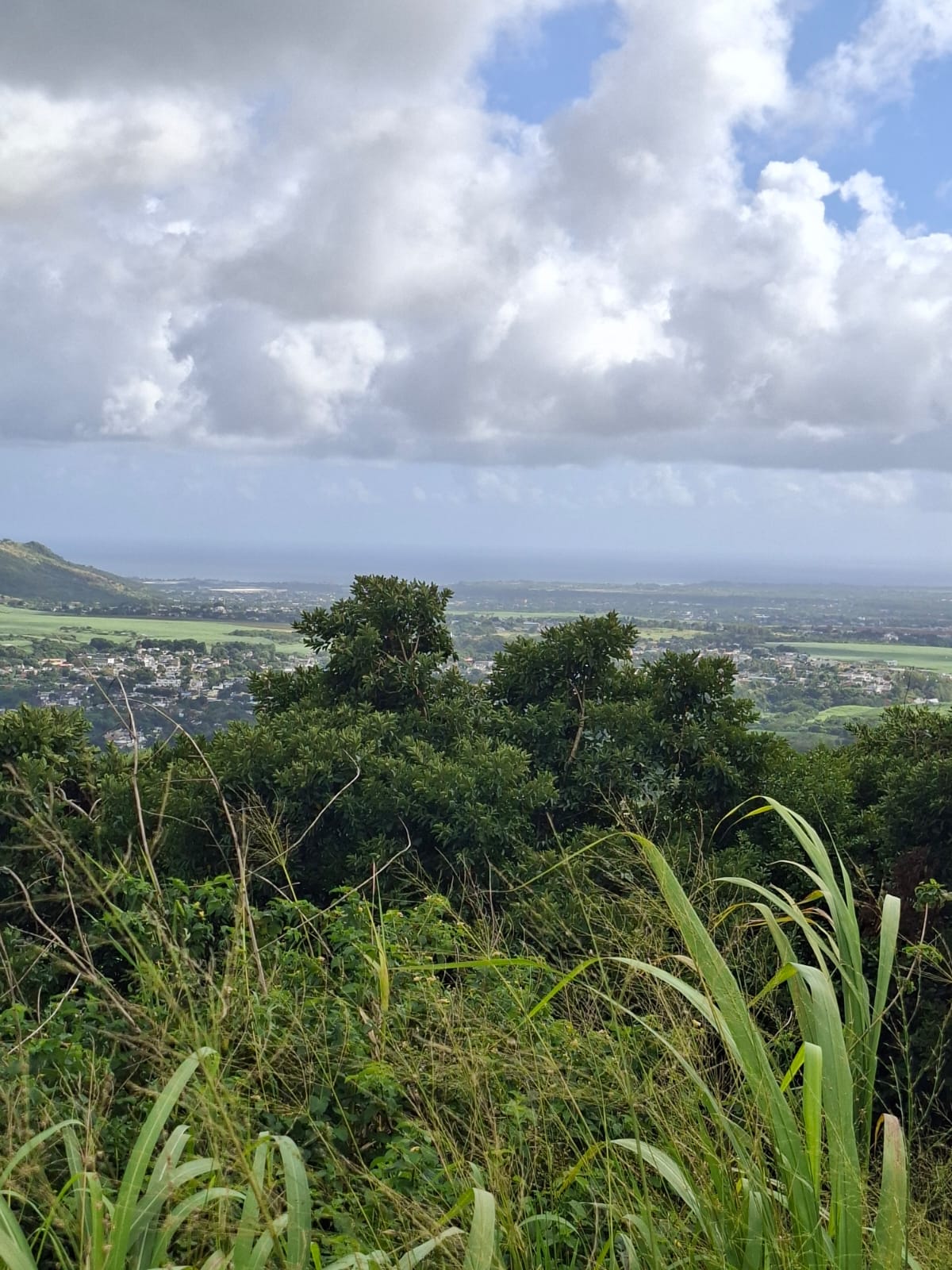 Terrain à Vendre à Les Mariannes, Île Maurice – Vue mer et montagnes